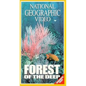 Forest of the Deep [VHS]