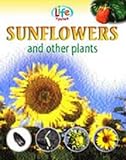 Sunflowers and other plants