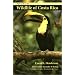 Field Guide to the Wildlife of Costa Rica (Corrie Herring Hooks)