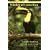 Field Guide to the Wildlife of Costa Rica (Corrie Herring Hooks)