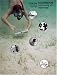 Books : Diving Trips
