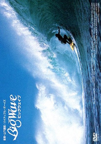 BIG WAVE マーク・リチャーズ マイケル・ホー トミー・キャロル