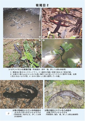 Cover image : これからの両棲類学