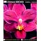My Favorite Orchid Books