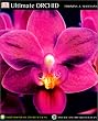Ultimate Orchid (American Horticultural Society Practical Guides)