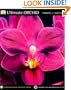 Ultimate Orchid