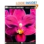 Ultimate Orchid