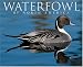 Book Waterfowl 2006 16-Month Wall Calendar