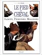 Le pied du cheval