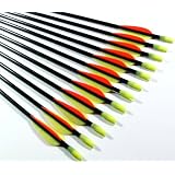 Shiny Black Fiberglass Target Practice Arrows 26" (1 Dozen)