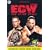ECW - One Night Stand [DVD]