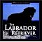 Labradors!  Labradors!  Labradors!