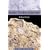 Fossils: The Key to the Past
