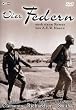 Vier Federn