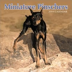 Minature Pinschers Wall Calendar: 2004