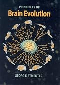 Principles of Brain Evolution