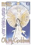 Oh My Goddess! Volume 17
