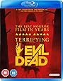 Evil Dead [Blu-ray] [2013]