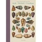 Dezallier D'Argenville: Conchology Shells by Veronica Carpita