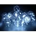Crystal Clear Cool White LED String Lights; LED Christmas Lights; Party Light