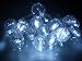Crystal Clear Cool White LED String Lights; LED Christmas Lights; Party Light