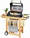 Campingaz 203902 RBS¿ Woody Grande Deluxe Holzwagen, ca. 2.000 cm², mit Metallfrontplatte und Seitenkocher