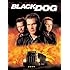 Black Dog