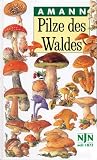 Pilze des Waldes - Gottfried Amann