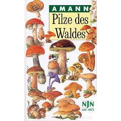 Pilze des Waldes