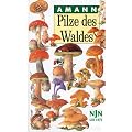 Pilze des Waldes