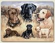 11" x 15" placemats ~ Rascals Become Legends (Labradors) ~ set of 4 corkboard placemats ~ code 056