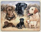 11" x 15" placemats ~ Rascals Become Legends (Labradors) ~ set of 4 corkboard...
