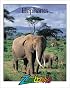Elephants (Zoobooks Series)