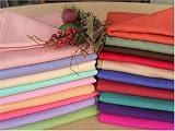 Ghorpa Pashmina Cashmere Shawl Wrap Scarves in 36x80 - N22A
