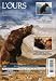 DVD : L'Ours