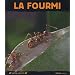 Biblioth�que enfants "Insectes de la for�t"