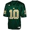 adidas Notre Dame Fighting Irish #10 Green Replica Football Jersey