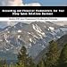 Book Accounting and Financial Fundamentals For Your Sleep Apnea Solutions Business