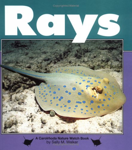 Marine Life
