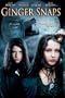 Ginger Snaps
