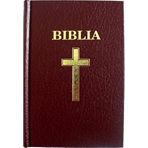 and Moldovan Language