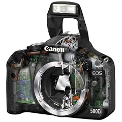 Canon EOS 500D SLR-Digitalkamera (15 Megapixel, LiveView, HD-Video) Gehäuse