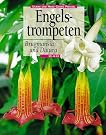 Engelstrompeten. Brugmansia und...