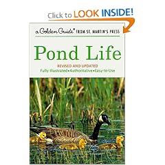 Pond Life: Revised and Updated (A Golden Guide from St. Martin's Press)