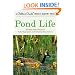 Pond Life: Revised and Updated (A Golden Guide from St. Martin's Press)