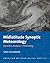 Midlatitude synoptic meteorology : dynamics, analysis, and forecasting
