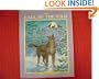 Call Of The Wild - Pbk (Ic) (Troll Illustrated Classics)