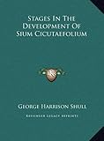 Stages in the Development of Sium Cicutaefolium Stages in the Development of Sium Cicutaefolium