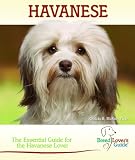 Havanese (Breed Lover