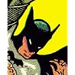 Batman The Complete History: The Life and Times of the Dark Knight ~ Les Daniels